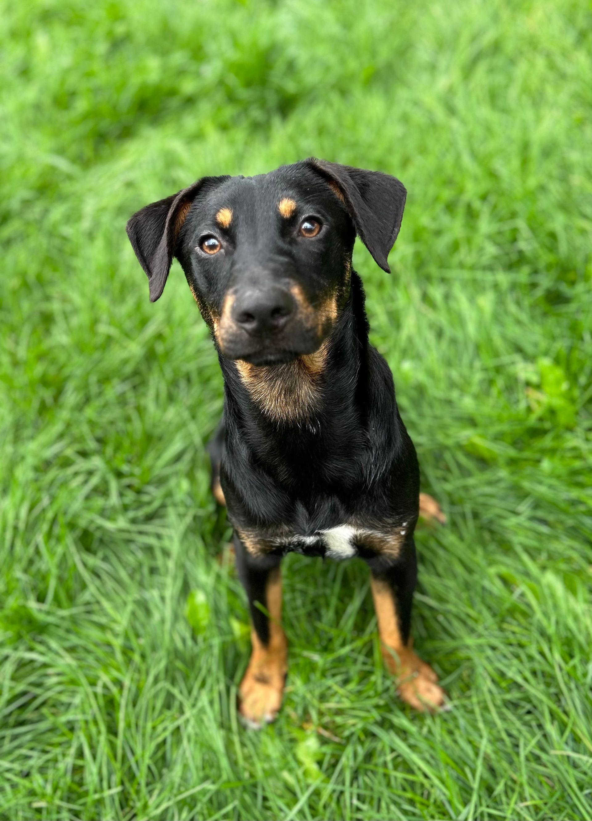 Foster