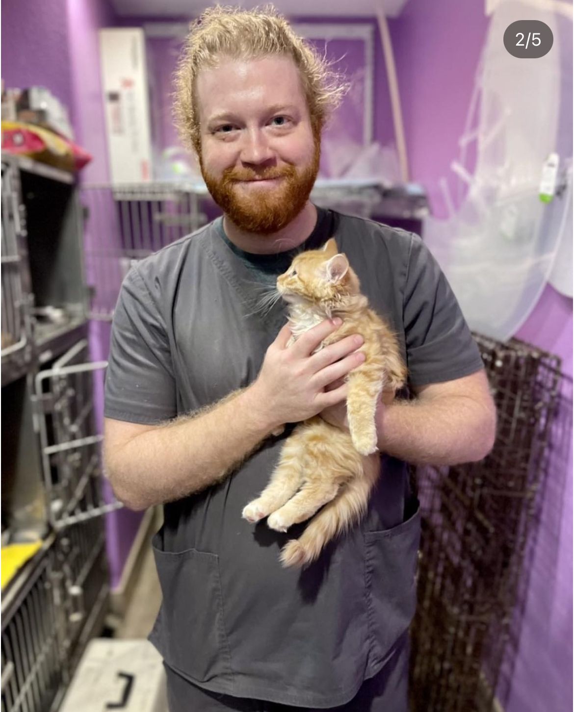 Volunteer holding a rescue cat